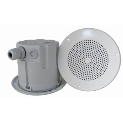 ATEX Takmonterad högtalare för zon 1/21 & 2/22