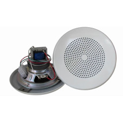 Ceiling mounted loudspeaker for zone 1/21 & 2/22